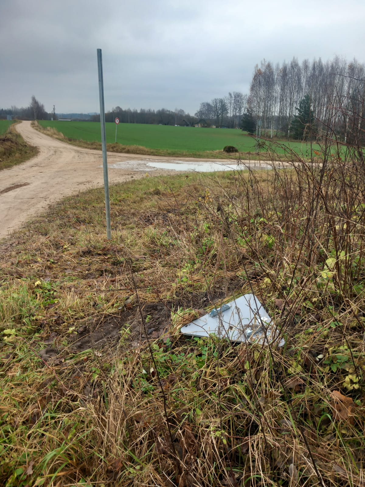 WhatsApp Image 2025 11 06 at 15.43.47