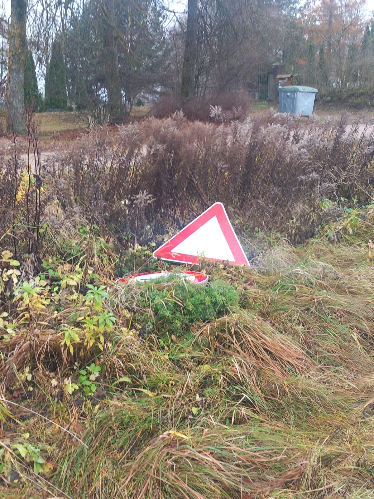 WhatsApp Image 2025 11 06 at 15.44.01